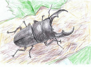 デニムにクワガタ